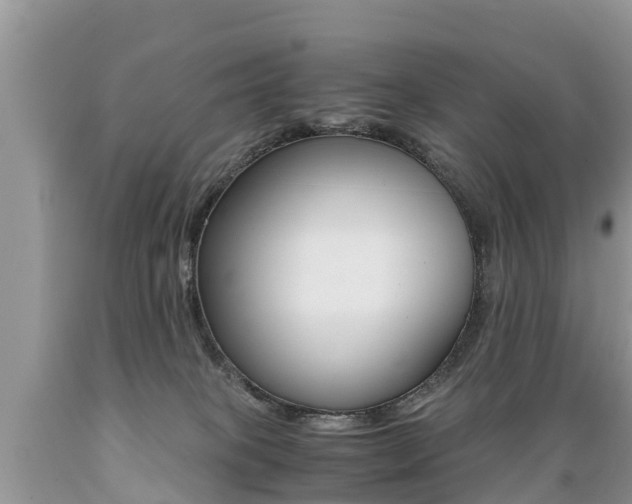 X0000089670085200706210802