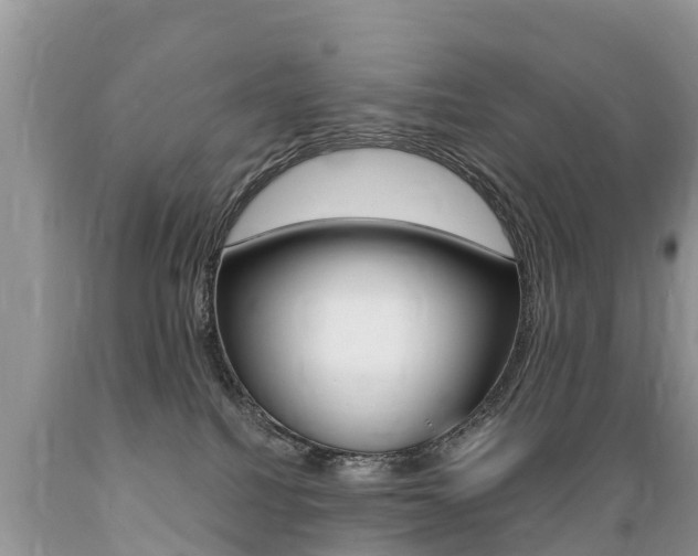 X0000089670088200706210802