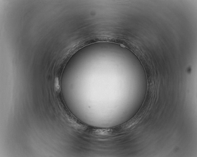X0000089670089200706210802