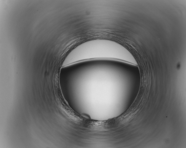 X0000089670092200706210802