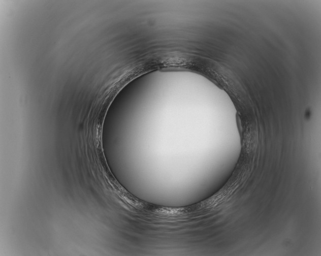 X0000089670093200706210802