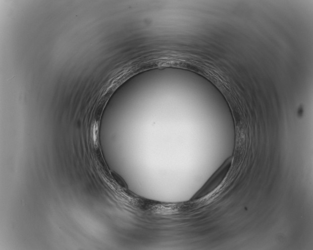 X0000089670094200706210802