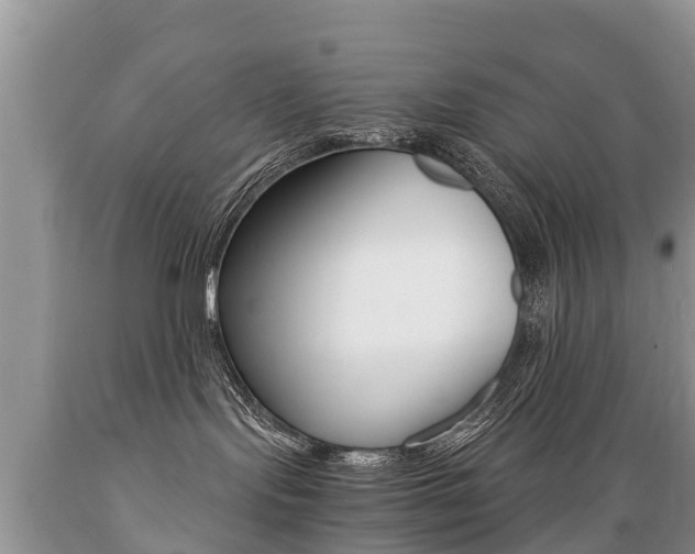 X0000089670095200706210802