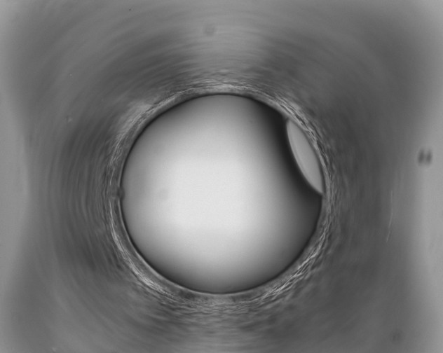 X0000089670097200706210802