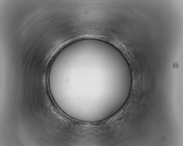 X0000089670098200706210802