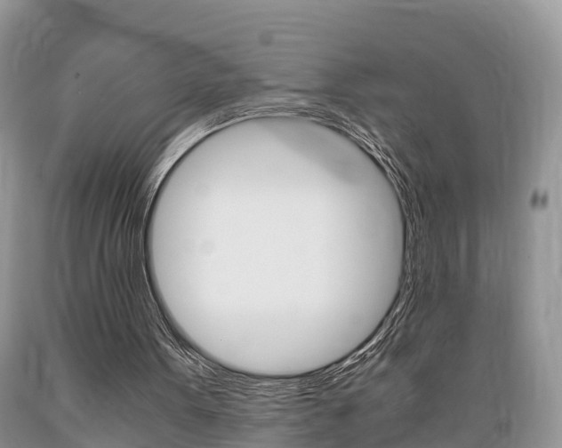 X0000089670099200706210802