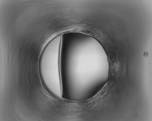 X0000089670100200706210802