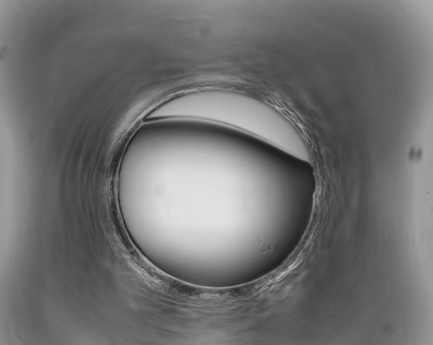X0000089670101200706210802