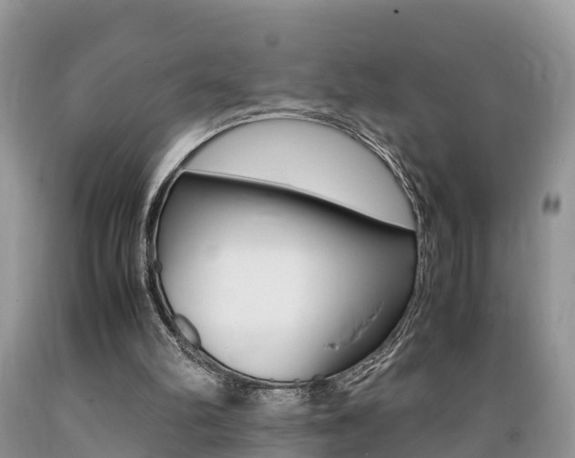 X0000089670102200706210802