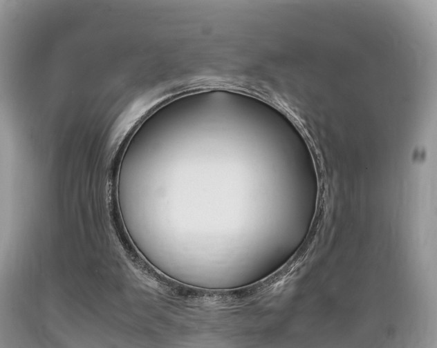 X0000089670103200706210802