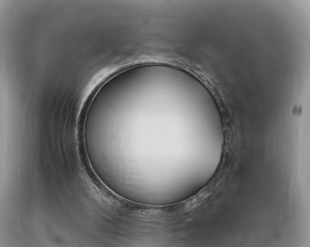 X0000089670104200706210802