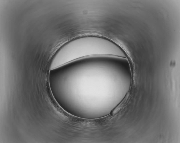 X0000089670105200706210802
