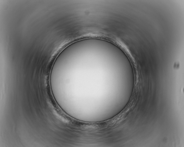 X0000089670106200706210802