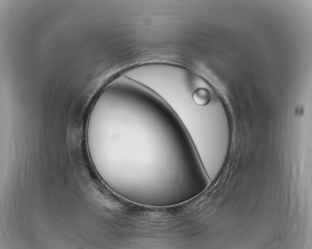 X0000089670107200706210801
