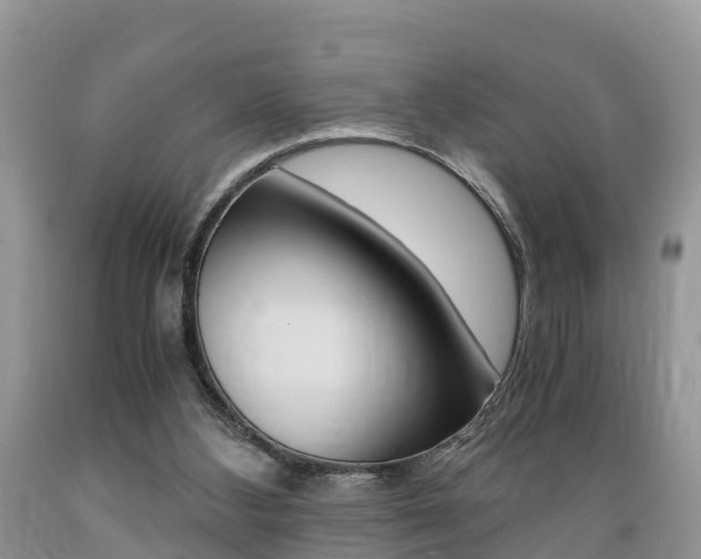 X0000089670108200706210801