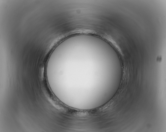 X0000089670110200706210801