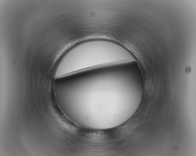 X0000089670112200706210801