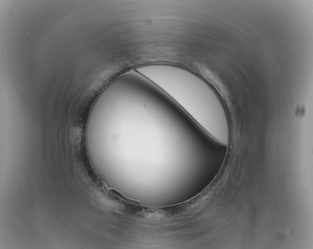 X0000089670113200706210801