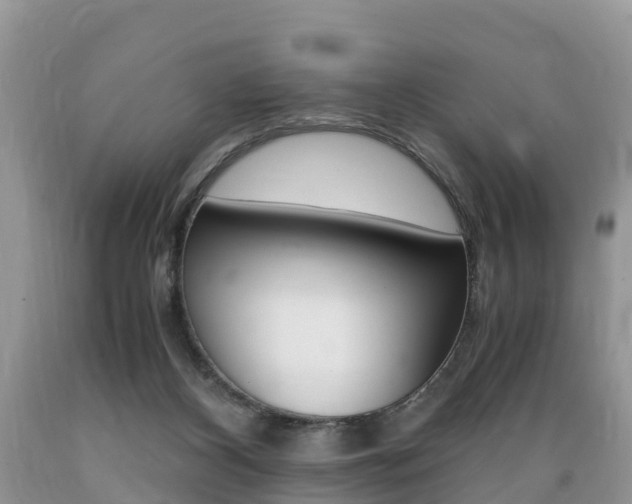 X0000089670116200706210801