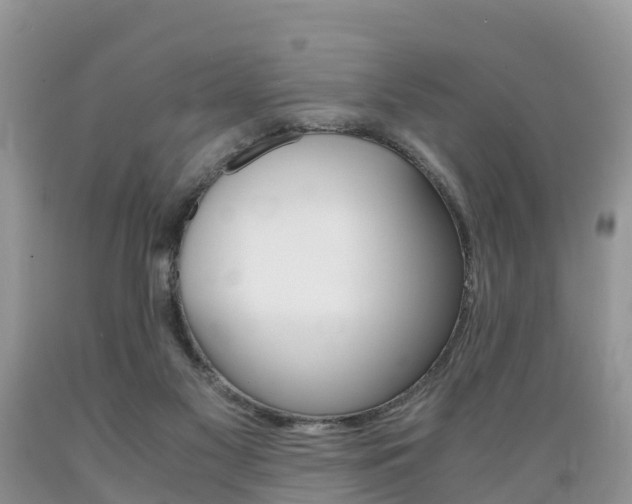 X0000089670117200706210801