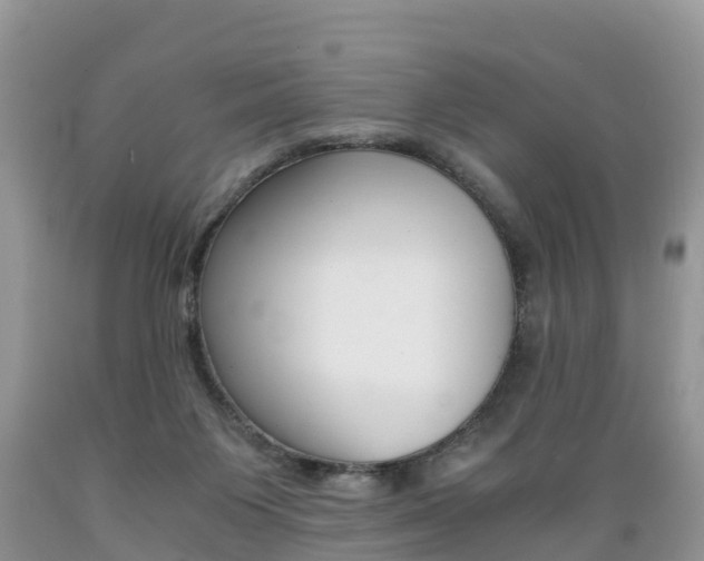 X0000089670119200706210801