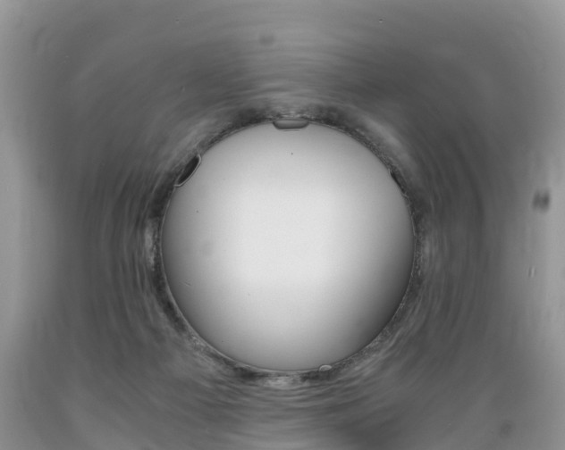 X0000089670121200706210801