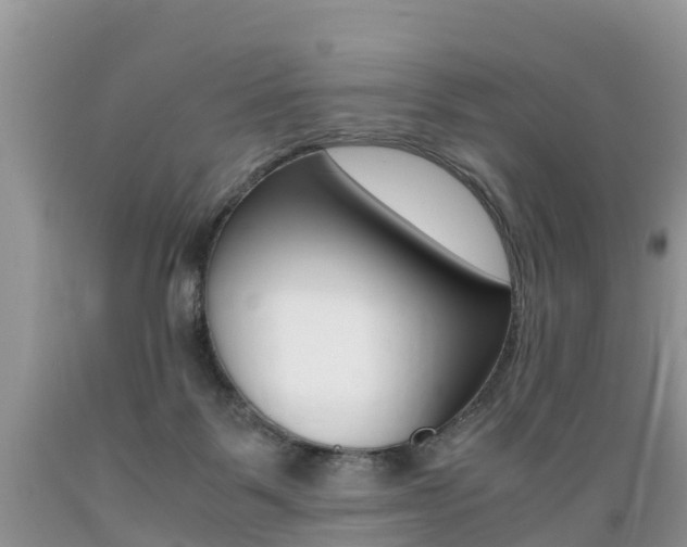 X0000089670123200706210801