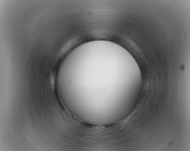 X0000089670124200706210801