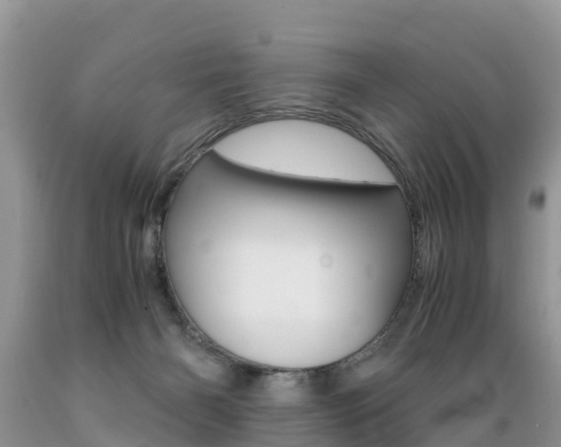 X0000089670126200706210801