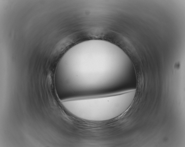 X0000089670128200706210801