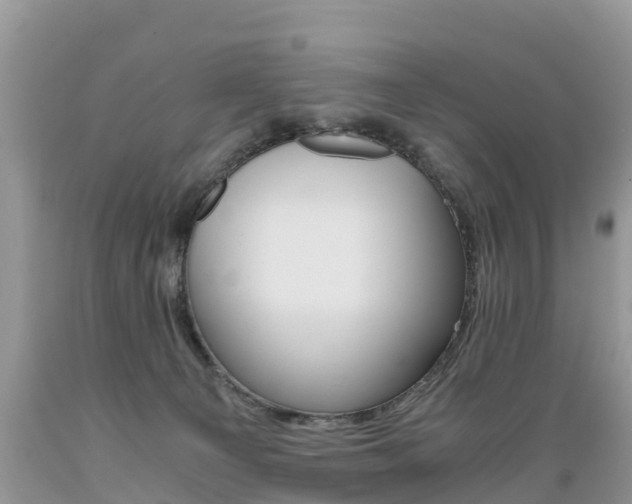 X0000089670129200706210801