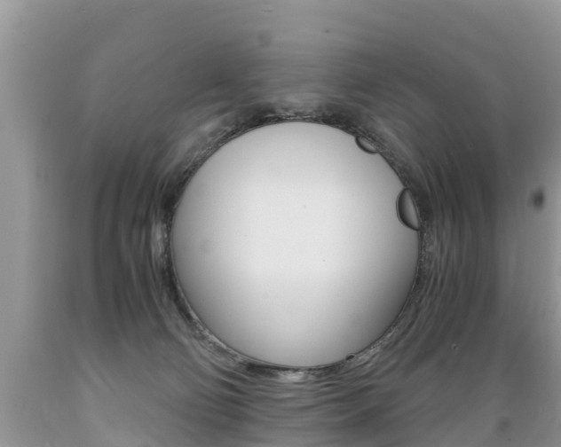 X0000089670130200706210801
