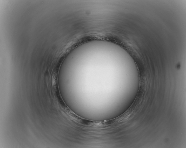 X0000089670131200706210801