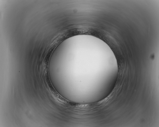 X0000089670136200706210801