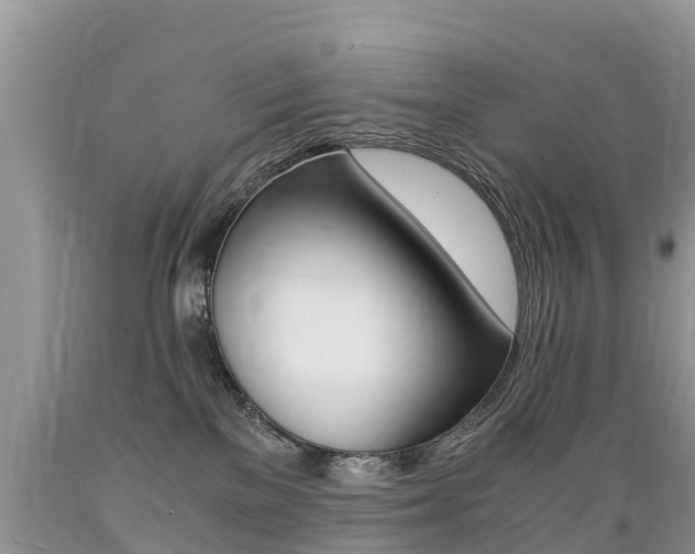 X0000089670137200706210801