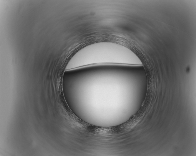 X0000089670139200706210801