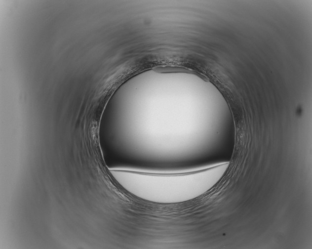 X0000089670141200706210801