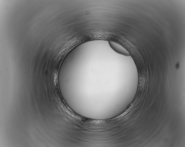 X0000089670142200706210801