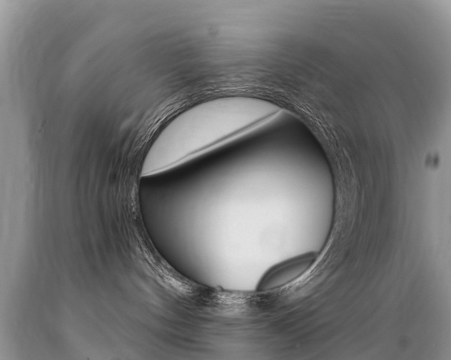 X0000089670144200706210801