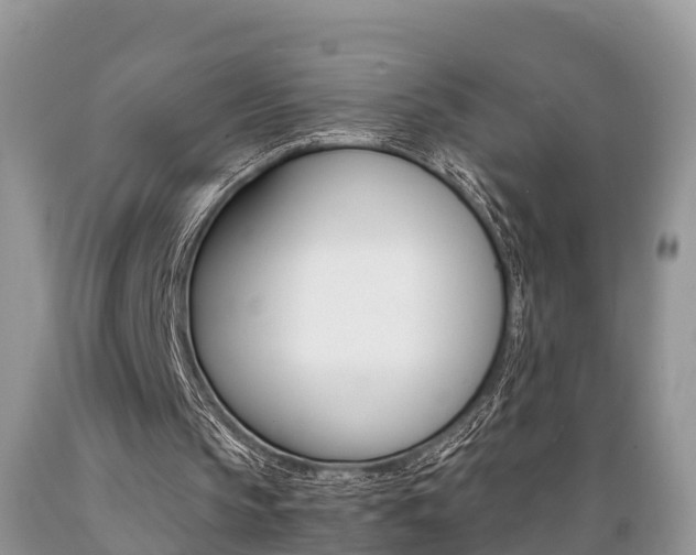 X0000089670145200706210800