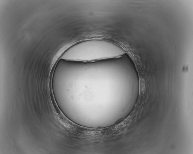 X0000089670147200706210800