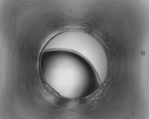 X0000089670148200706210800