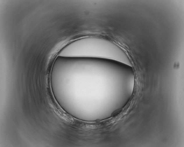 X0000089670149200706210800