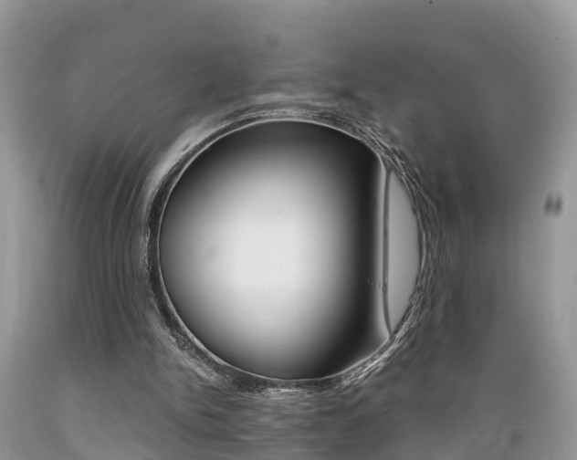 X0000089670150200706210800