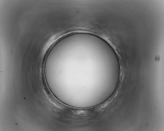 X0000089670151200706210800
