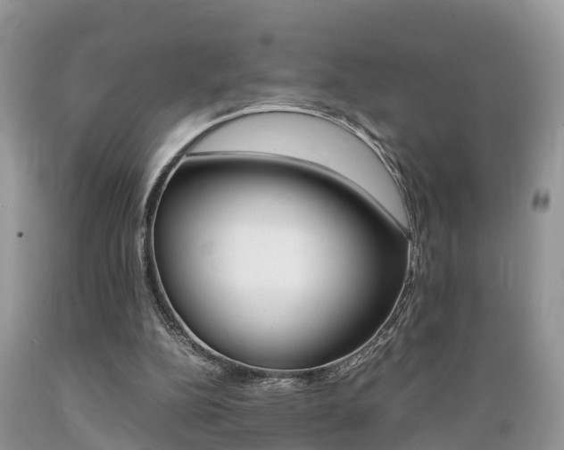 X0000089670152200706210800