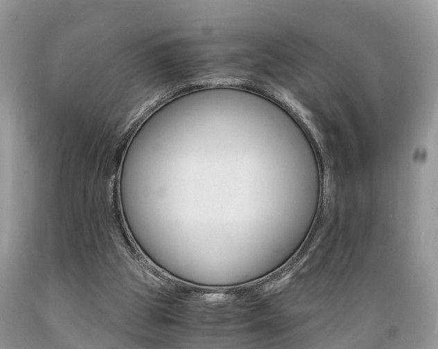X0000089670153200706210800