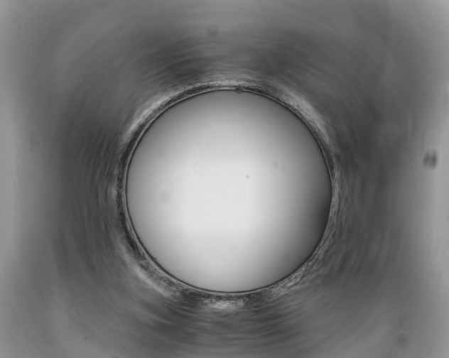 X0000089670155200706210800
