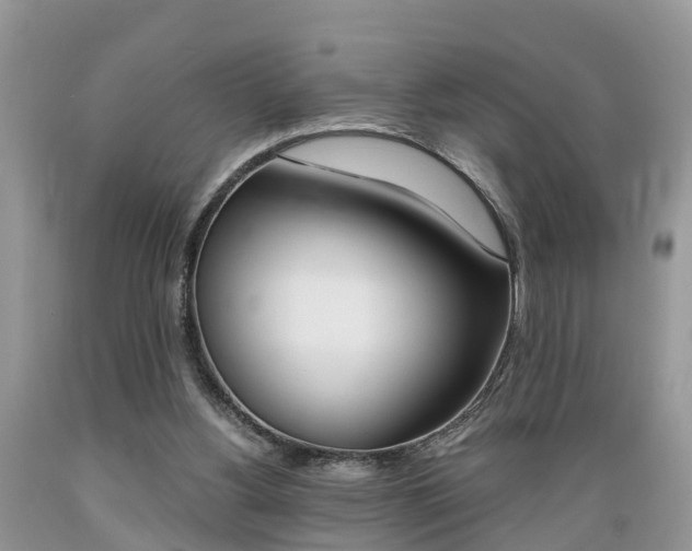 X0000089670156200706210800