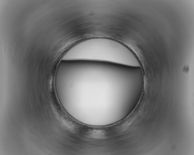 X0000089670157200706210800